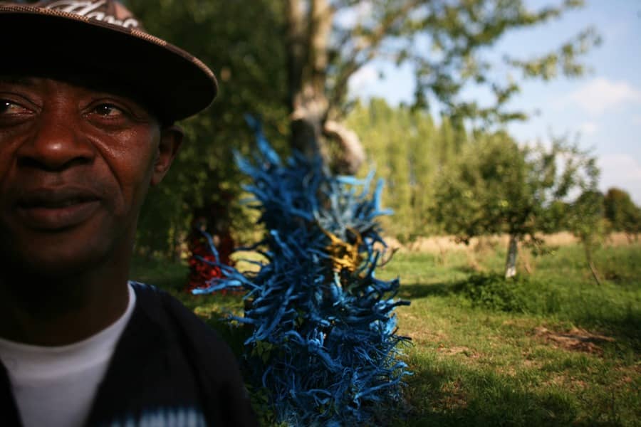 1 The Blue Forest: Ousmane Gueye's dream becomes a reality